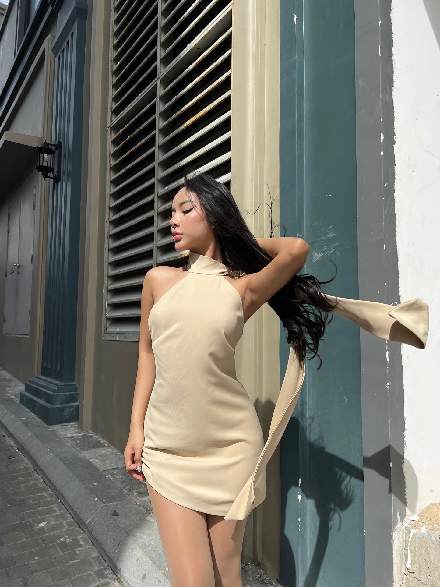 Colette Beige Dress