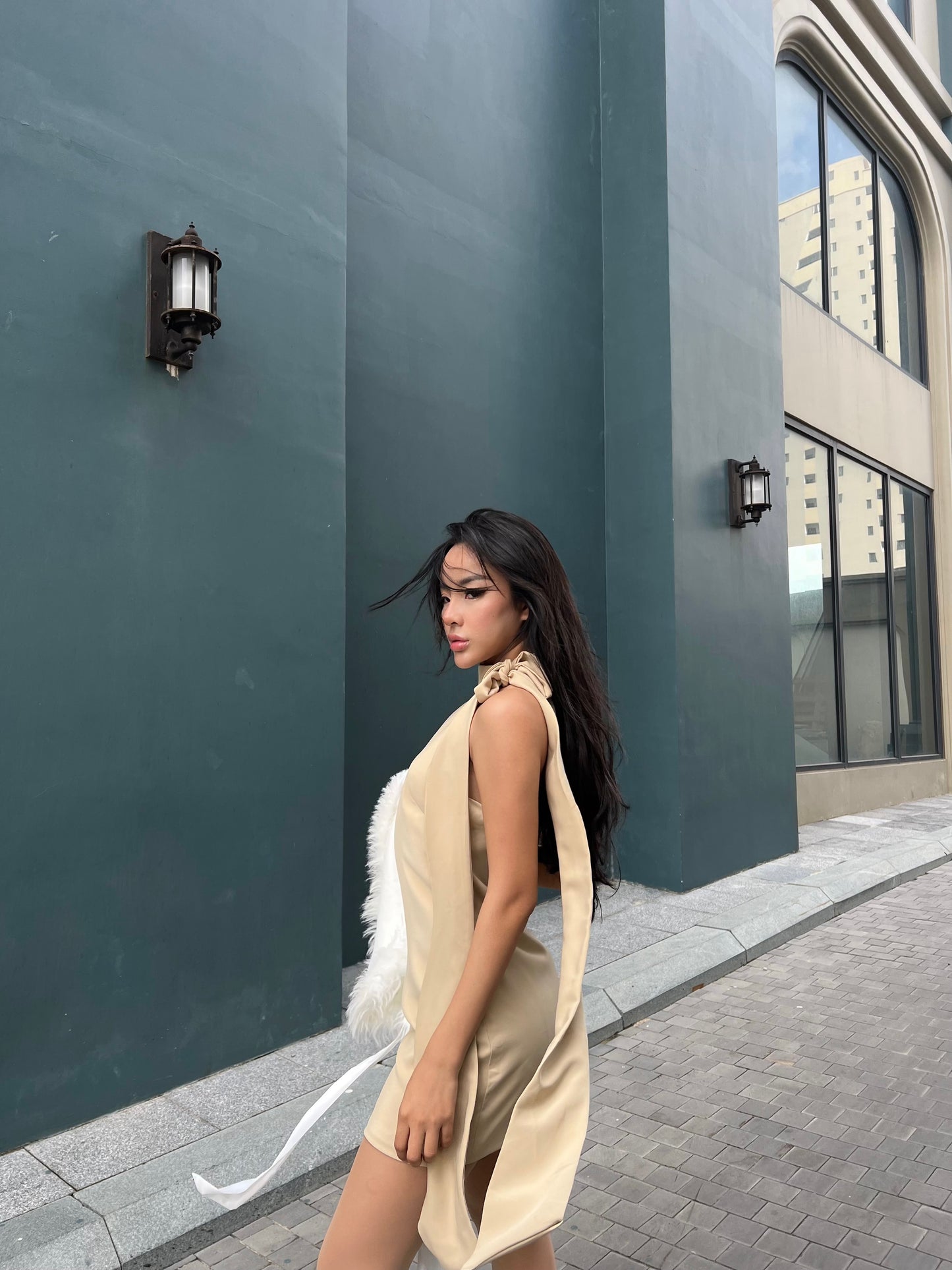 Colette Beige Dress