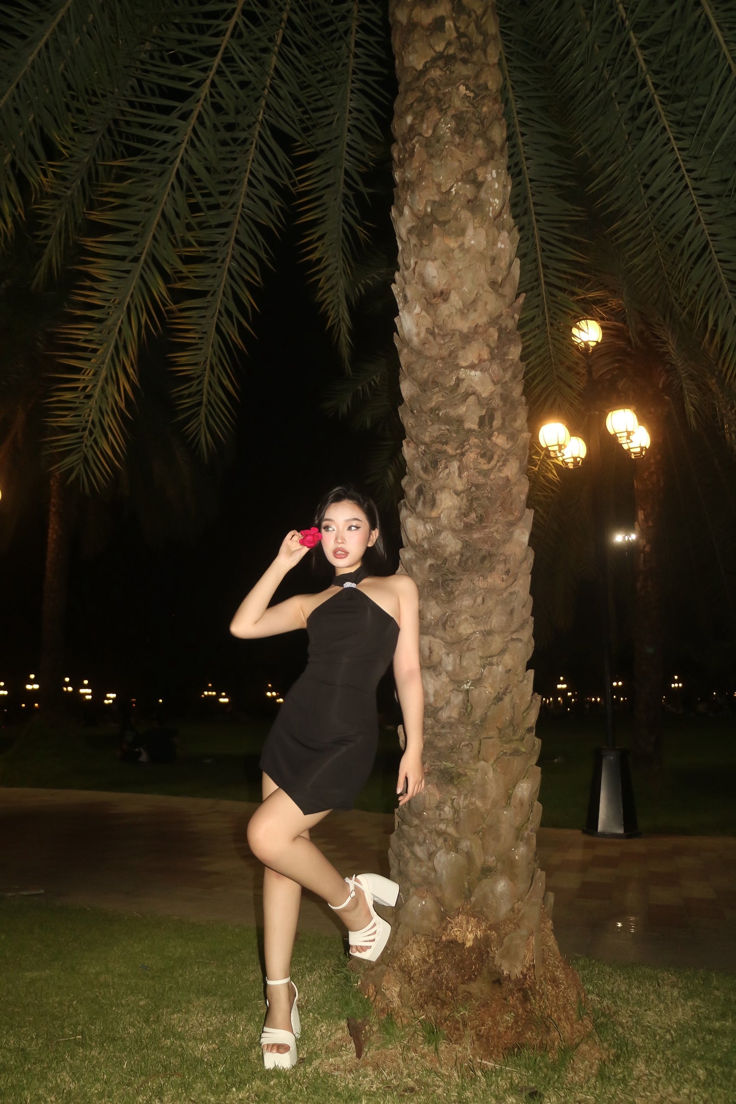 Frankie Dress
