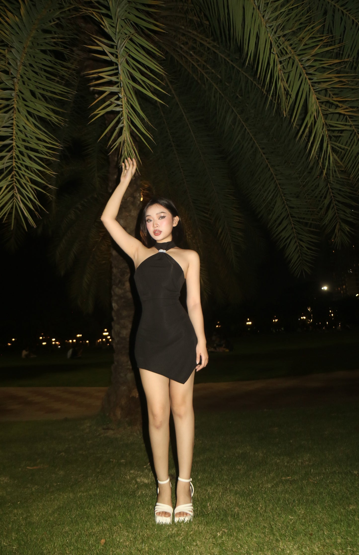 Frankie Dress