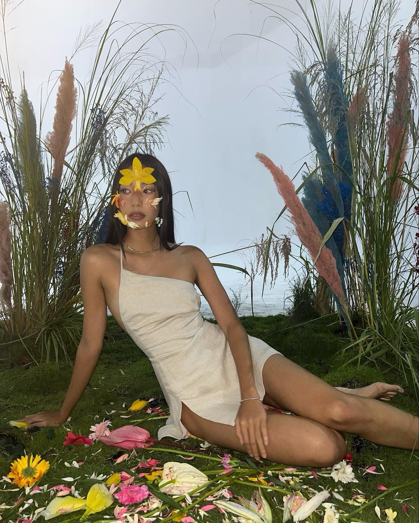 Kristen Dress