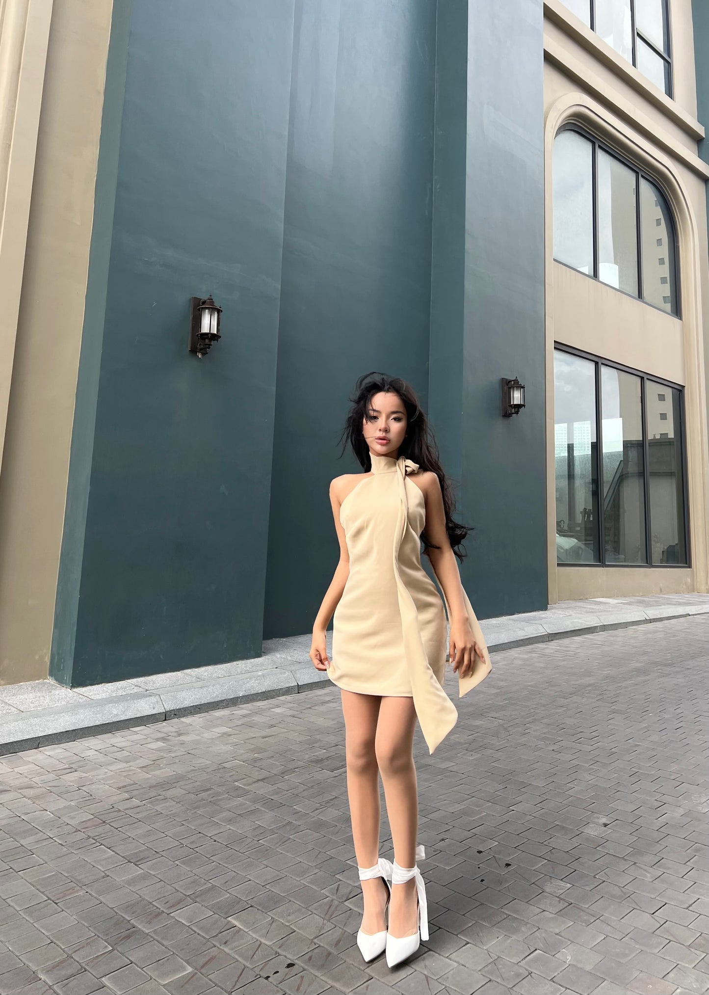 Colette Beige Dress